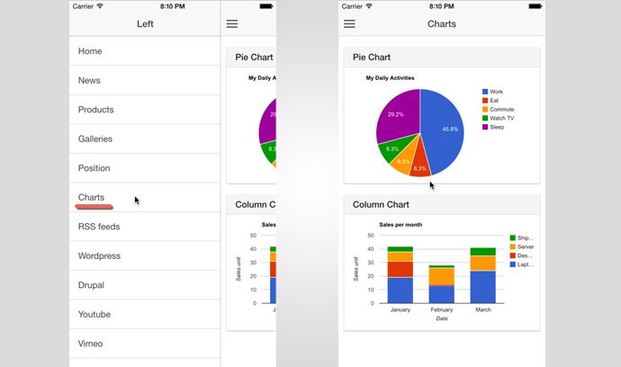 Barebone Ionic - Full Application - 32