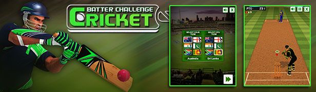 Cricket Batter Challenge